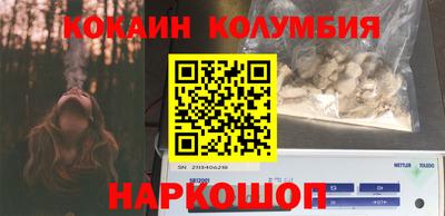 индика Сланцы