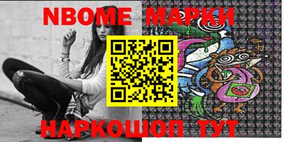 индика Сланцы