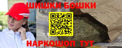индика Сланцы