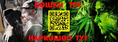 индика Сланцы