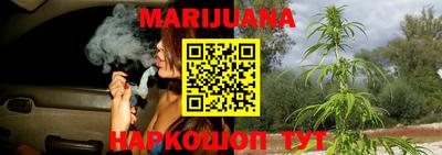 индика Сланцы