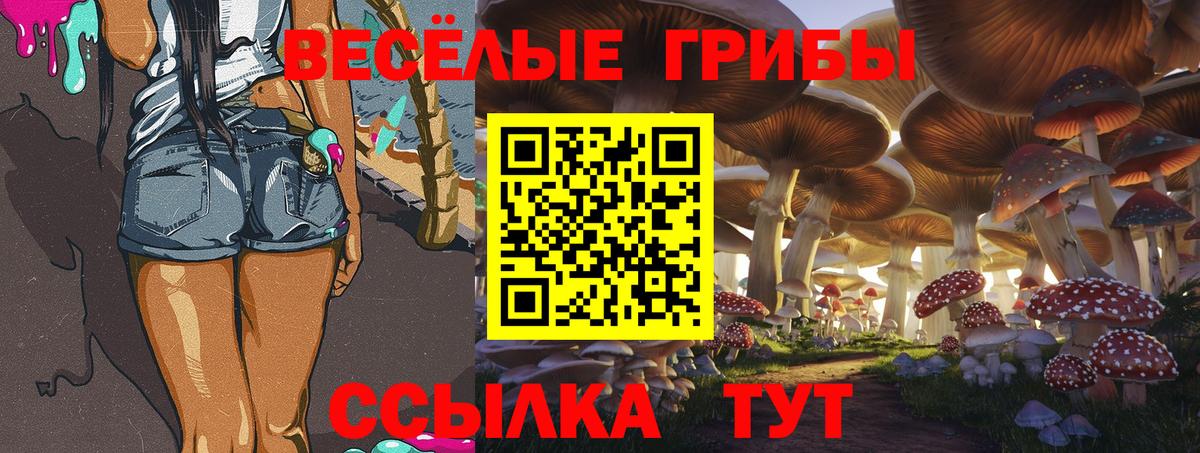 Псилоцибиновые грибы ЛСД Подольск