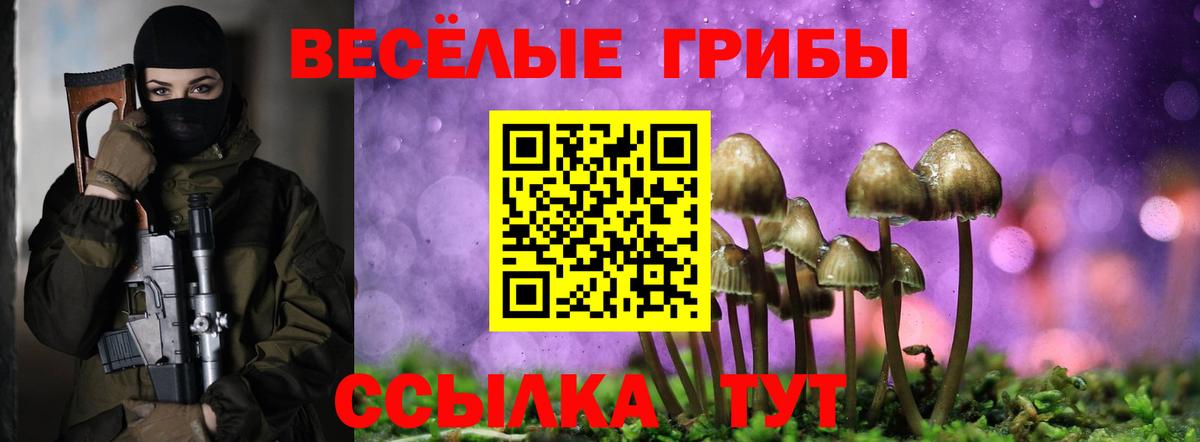 Псилоцибиновые грибы мухоморы  Вход с VPN  Подольск  Галлюциногенные грибы прущие грибы 